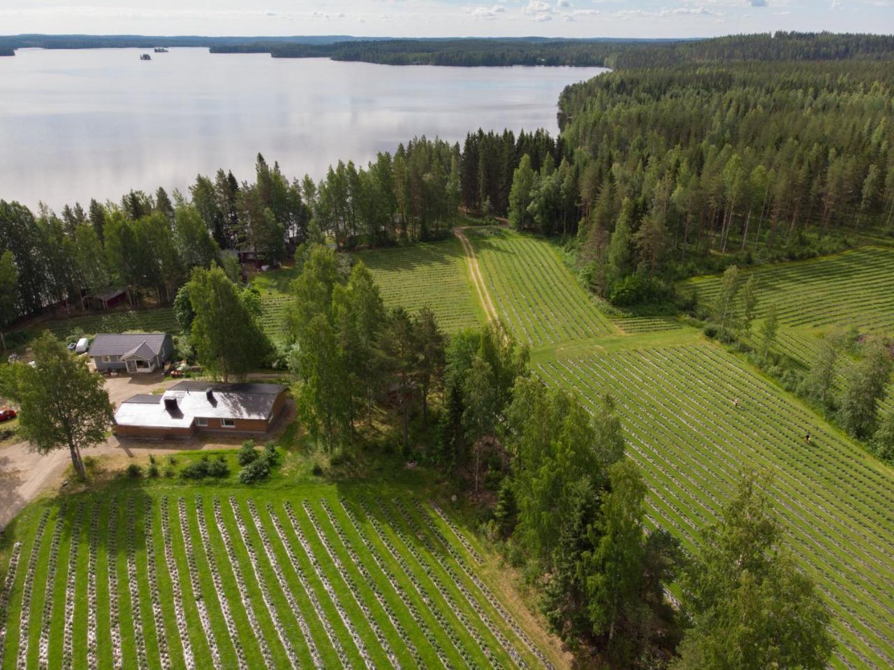 Hiekkarannanlomat Villa Kannonkoski Exteriör bild